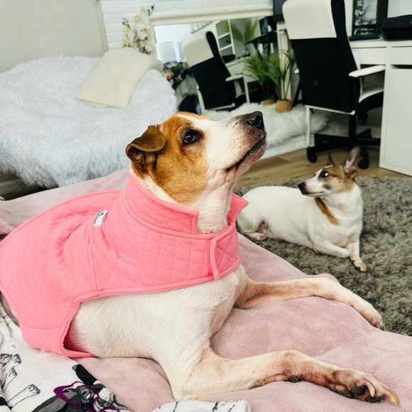 Tommy Bahama Other - Pet (Dog) Tommy Bahama Pink Quilted Fleece Jacket